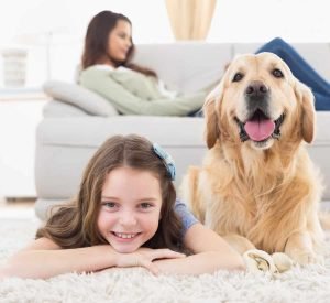arlington va carpet cleaning home