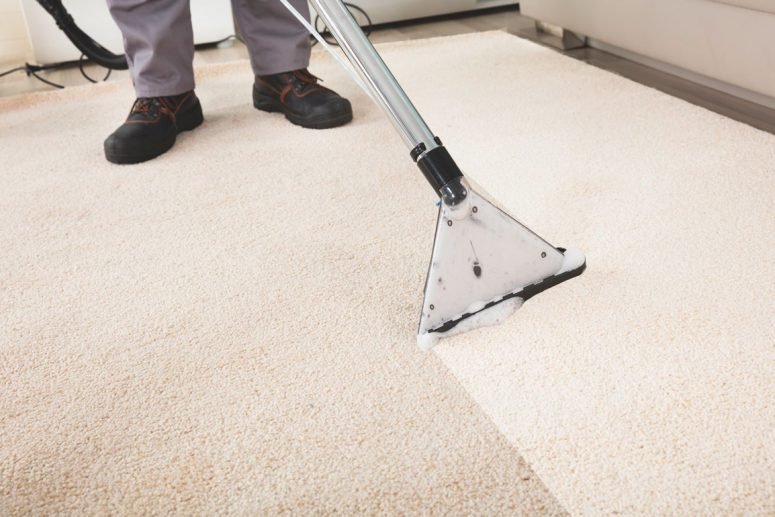 arlington va carpet cleaning