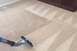 Carpet Cleaning Arlington VA