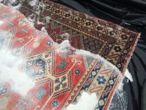 arlington va rug cleaning shampoo